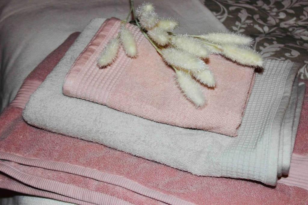 Apartamento El Picu Collanzo ภายนอก รูปภาพ