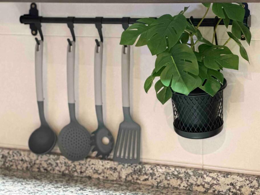 Apartamento El Picu Collanzo ภายนอก รูปภาพ